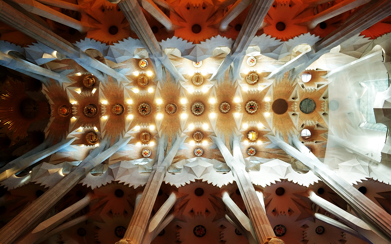 Shot on Mi 6 dual camera